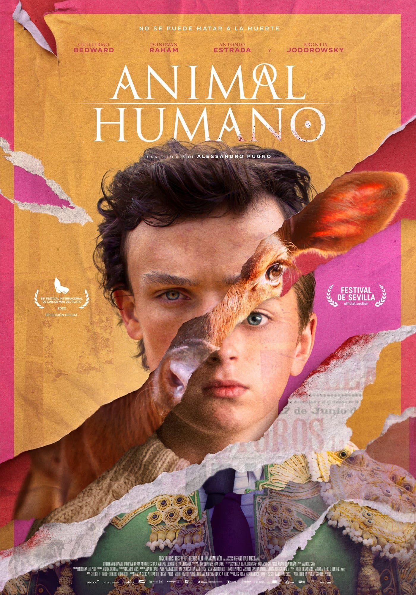 Poster Animal | Human