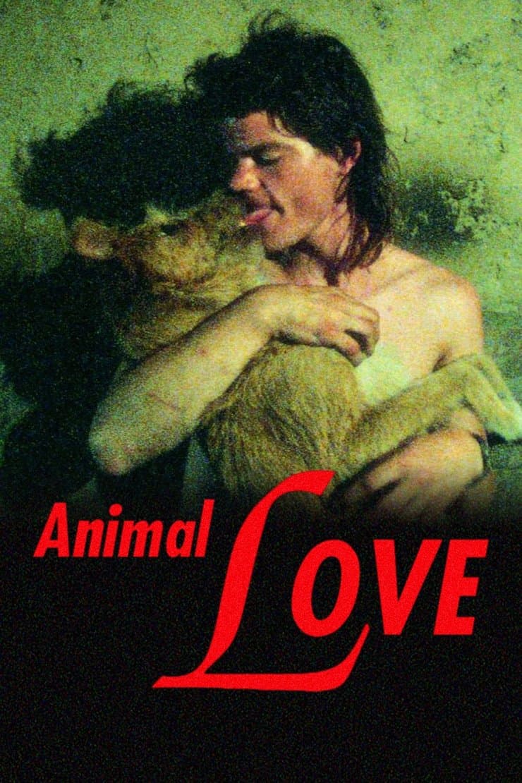 Poster Animal Love