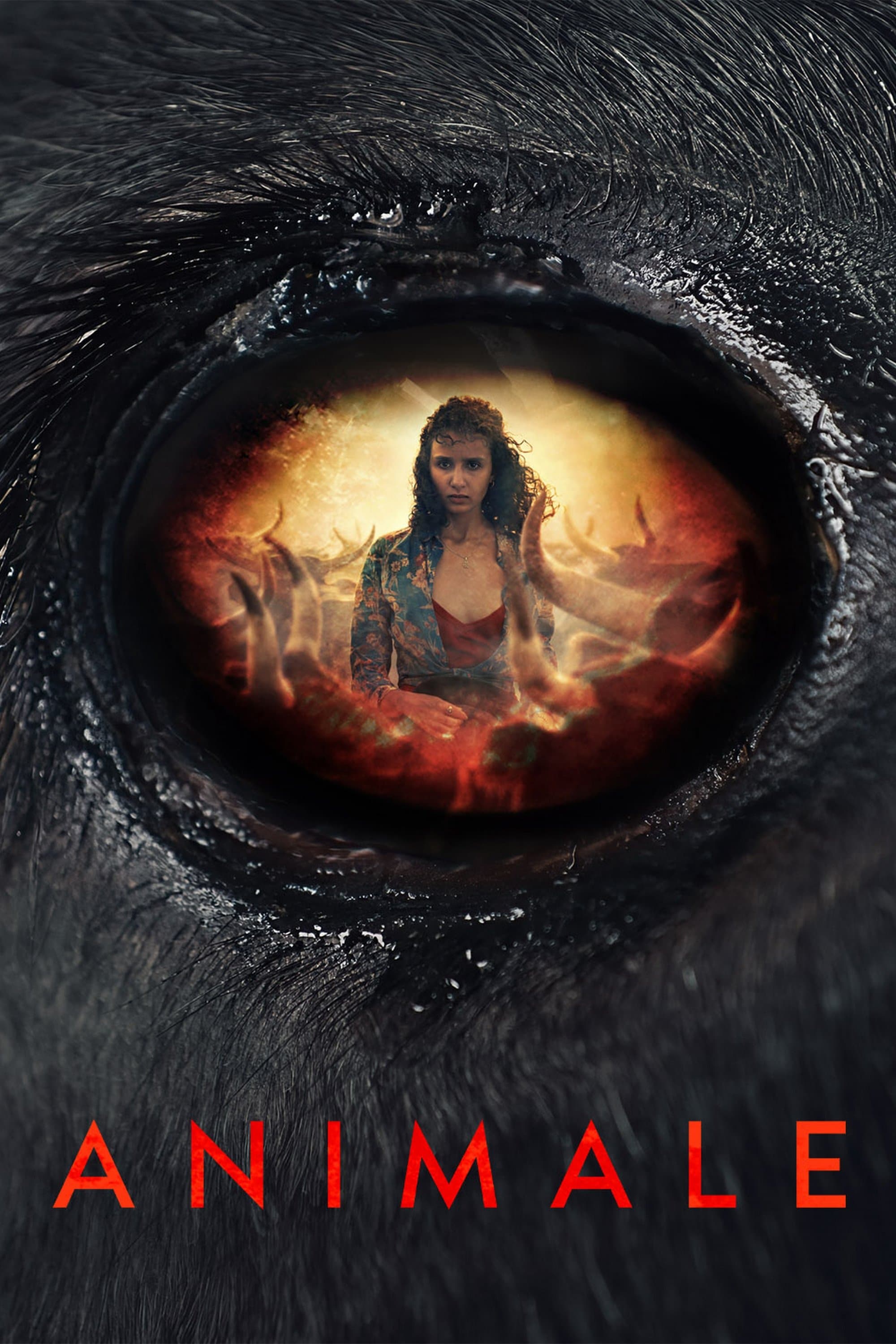 Poster Animale