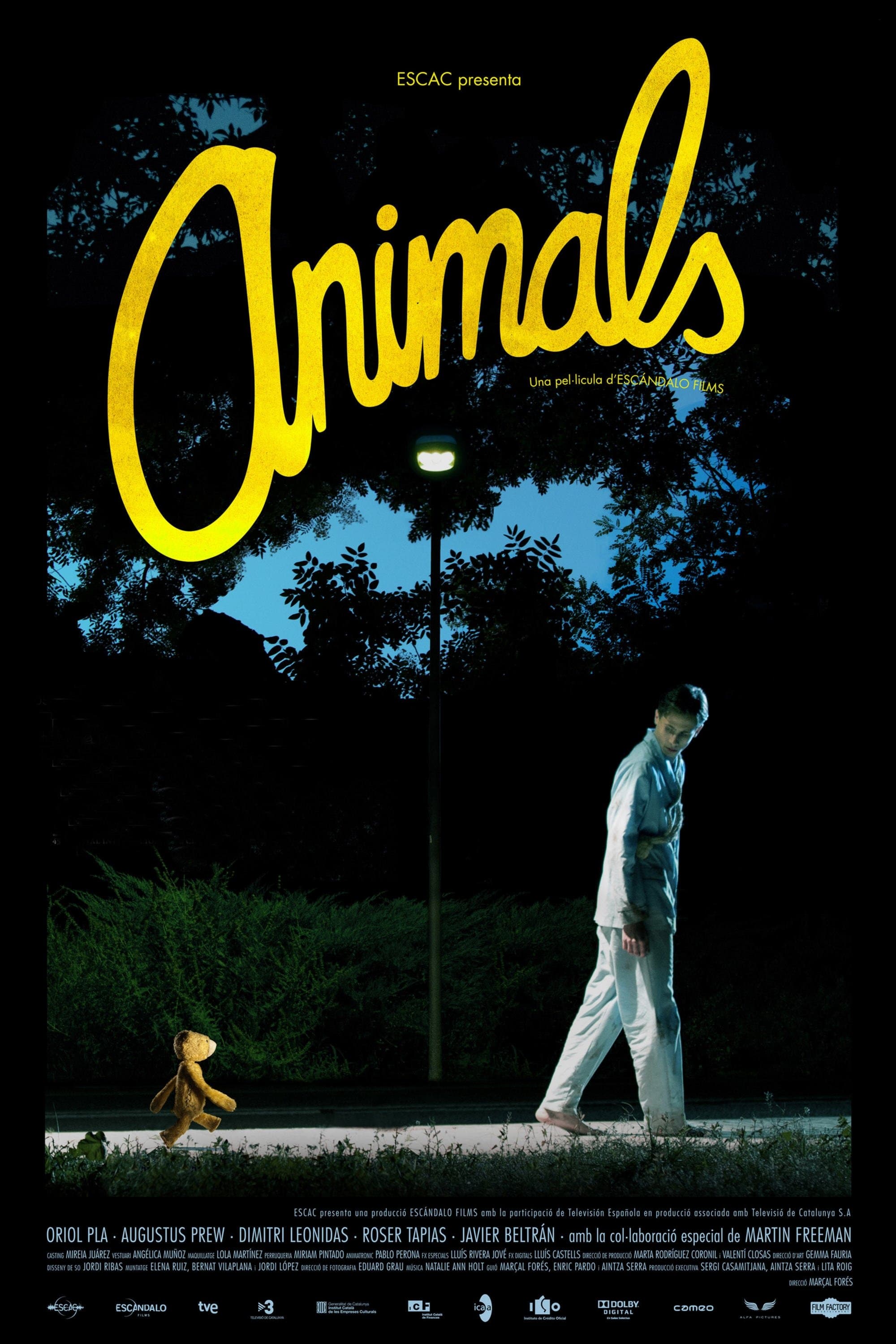 Poster Animals