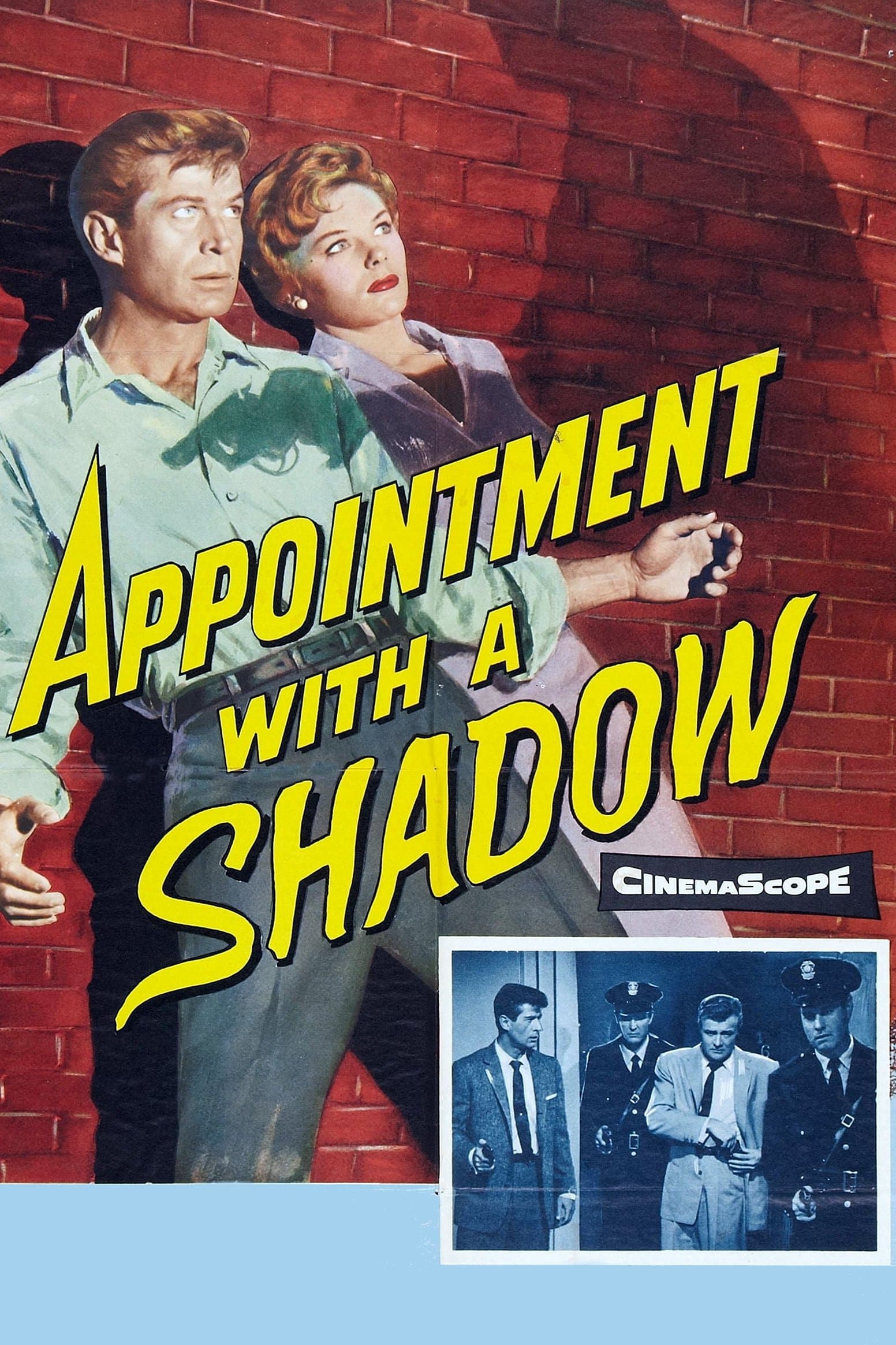 Poster Appointment with a Shadow