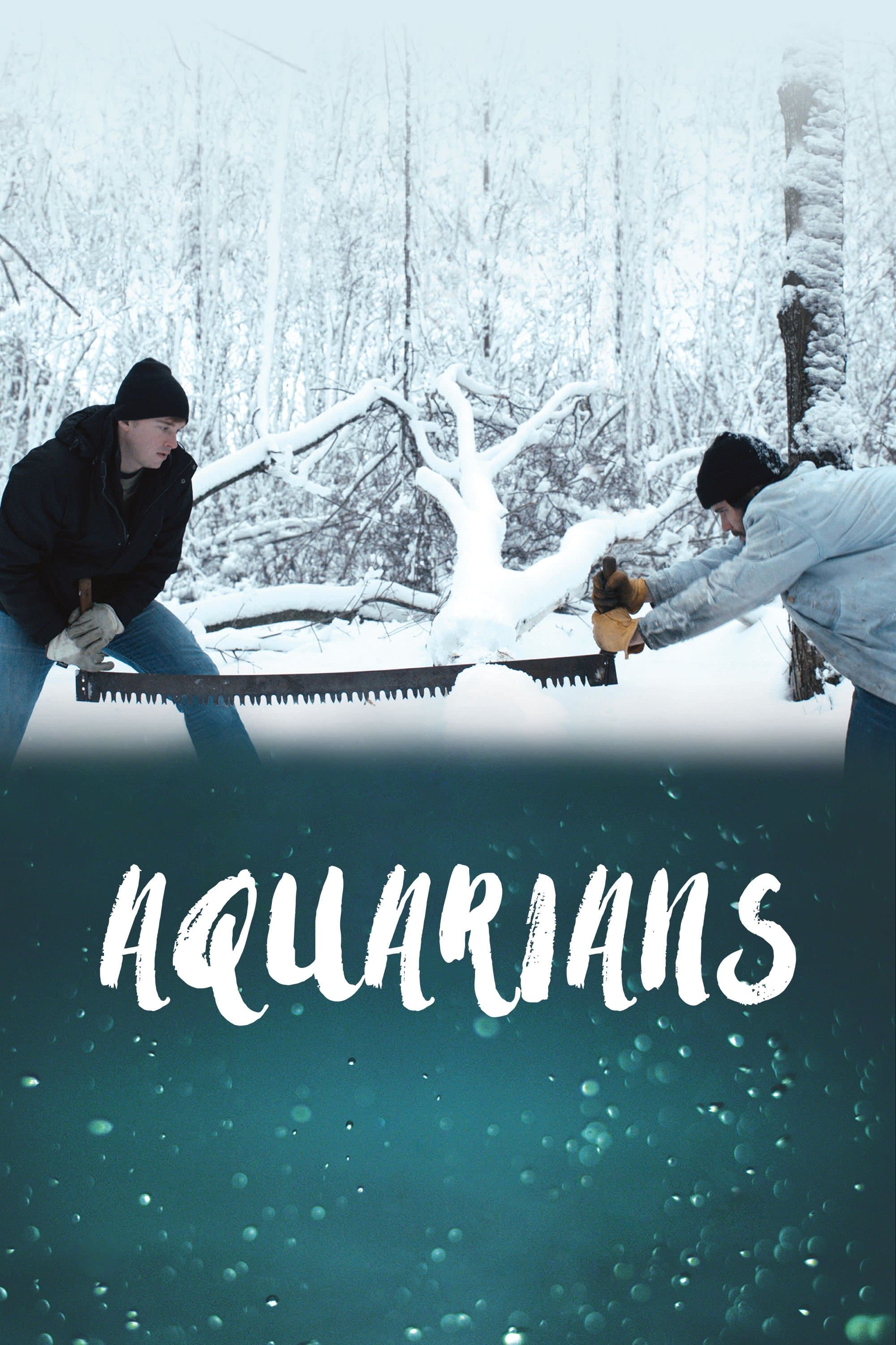 Poster Aquarians