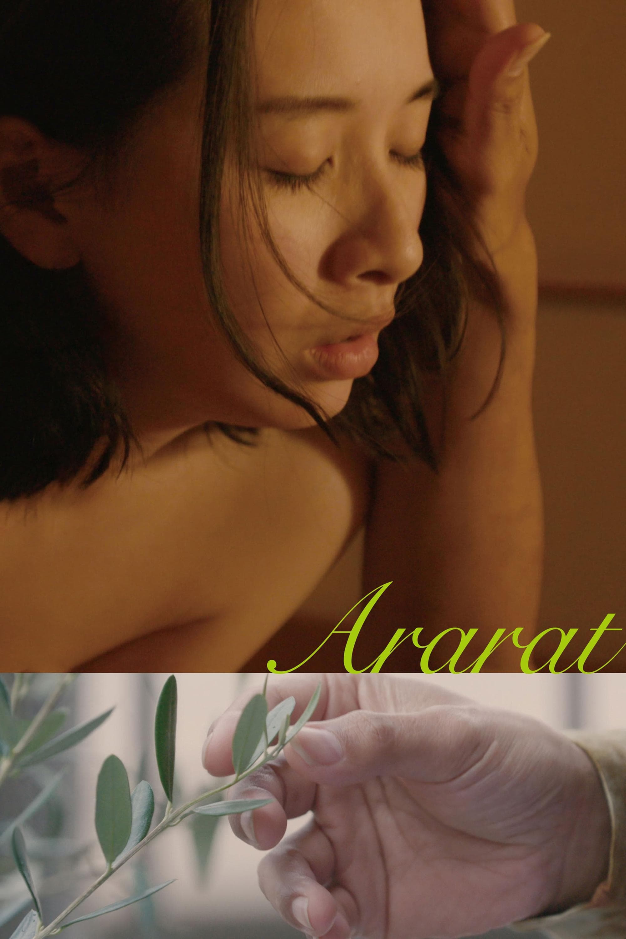 Poster Ararat