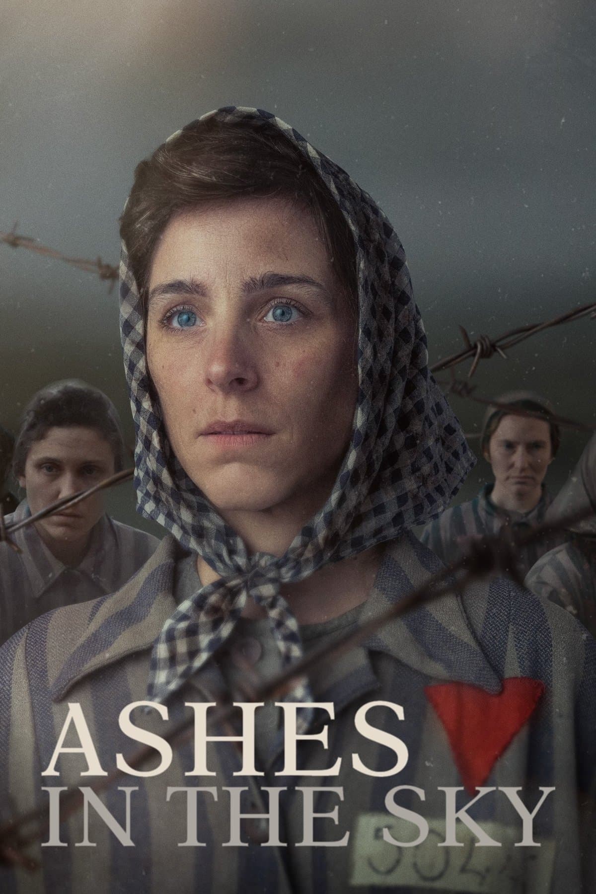 Poster Ashes in the Sky