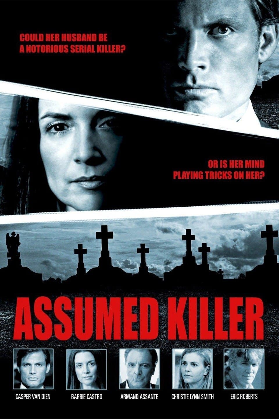 Poster Assumed Killer