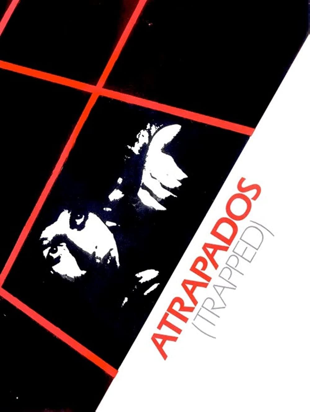 Poster Atrapados