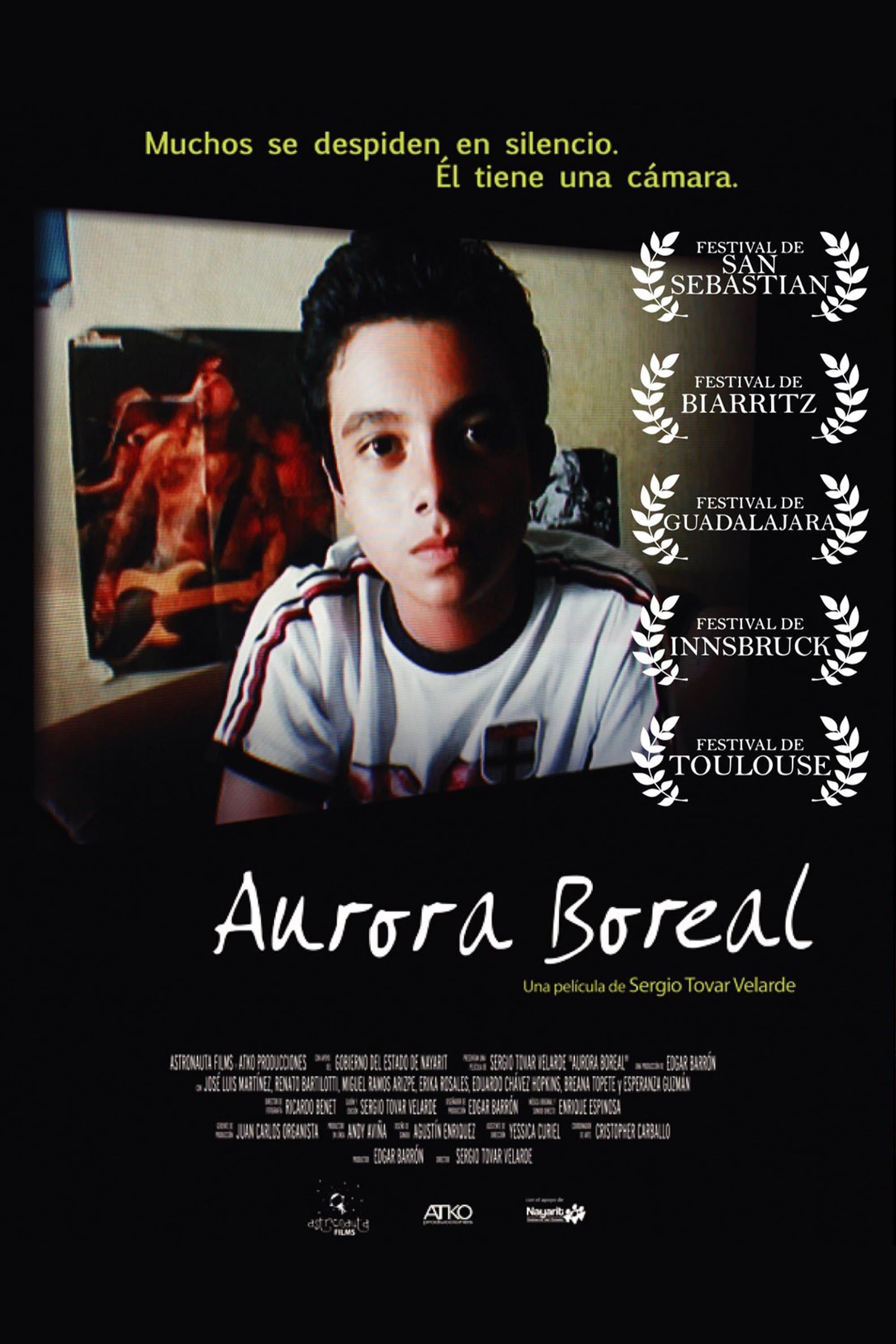Poster Aurora Boreal