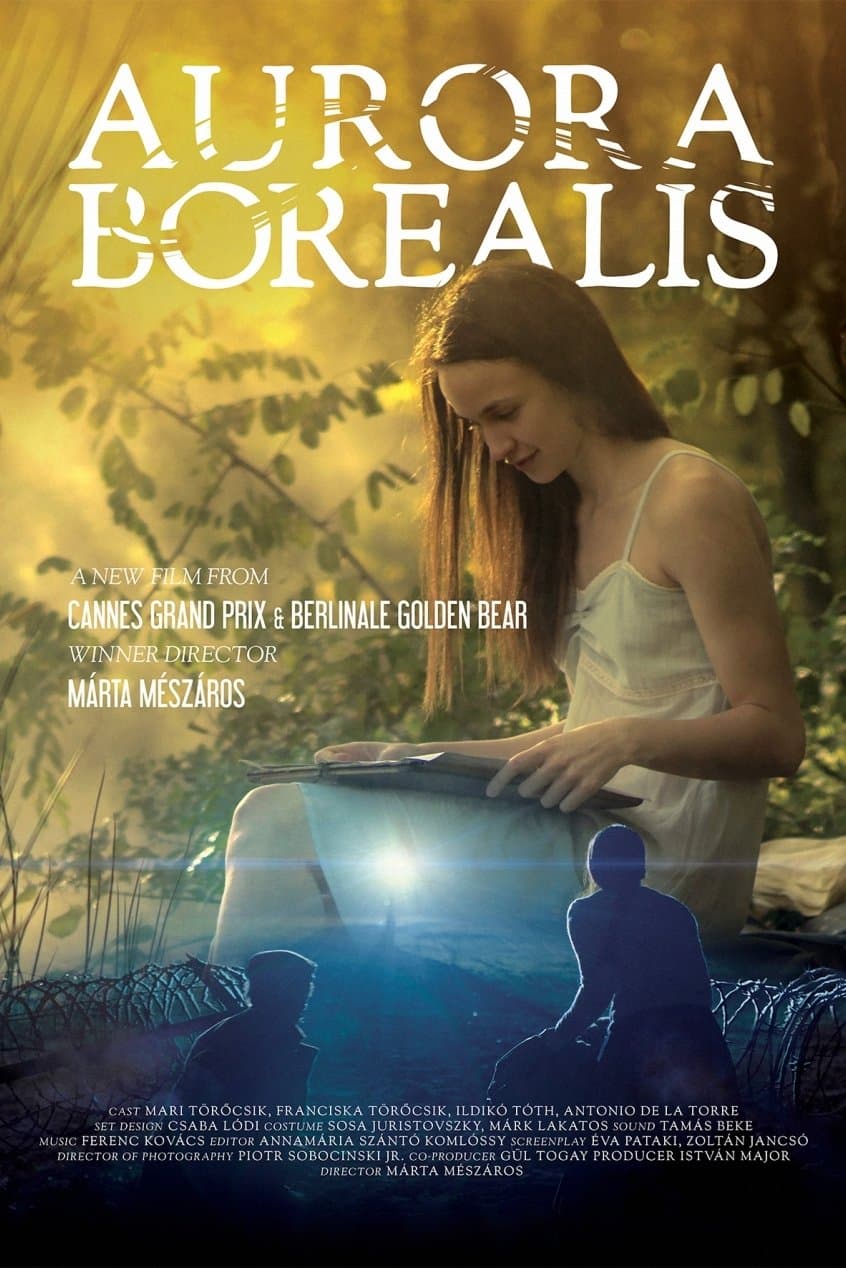 Poster Aurora Borealis: Northern Light
