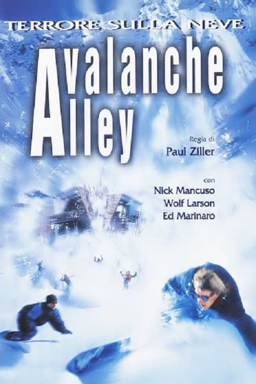 Poster Avalanche Alley