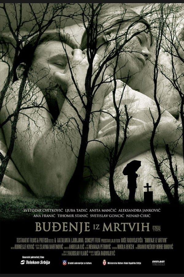 Poster Awakening from the Dead