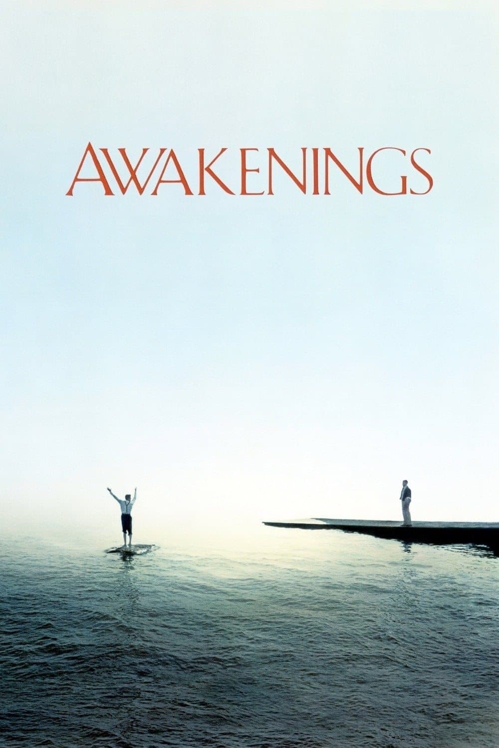 Poster Awakenings