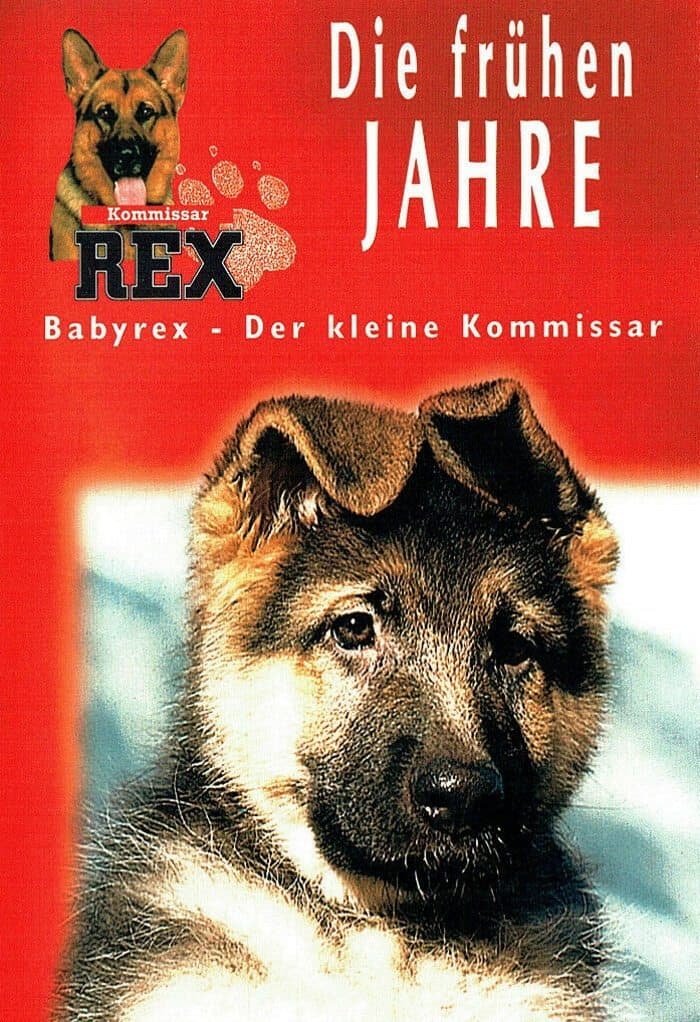 Poster Baby Rex
