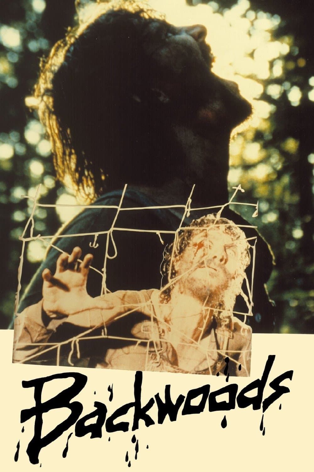 Poster Backwoods