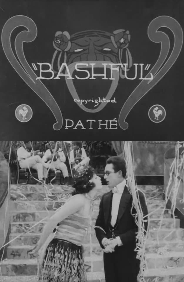 Poster Bashful