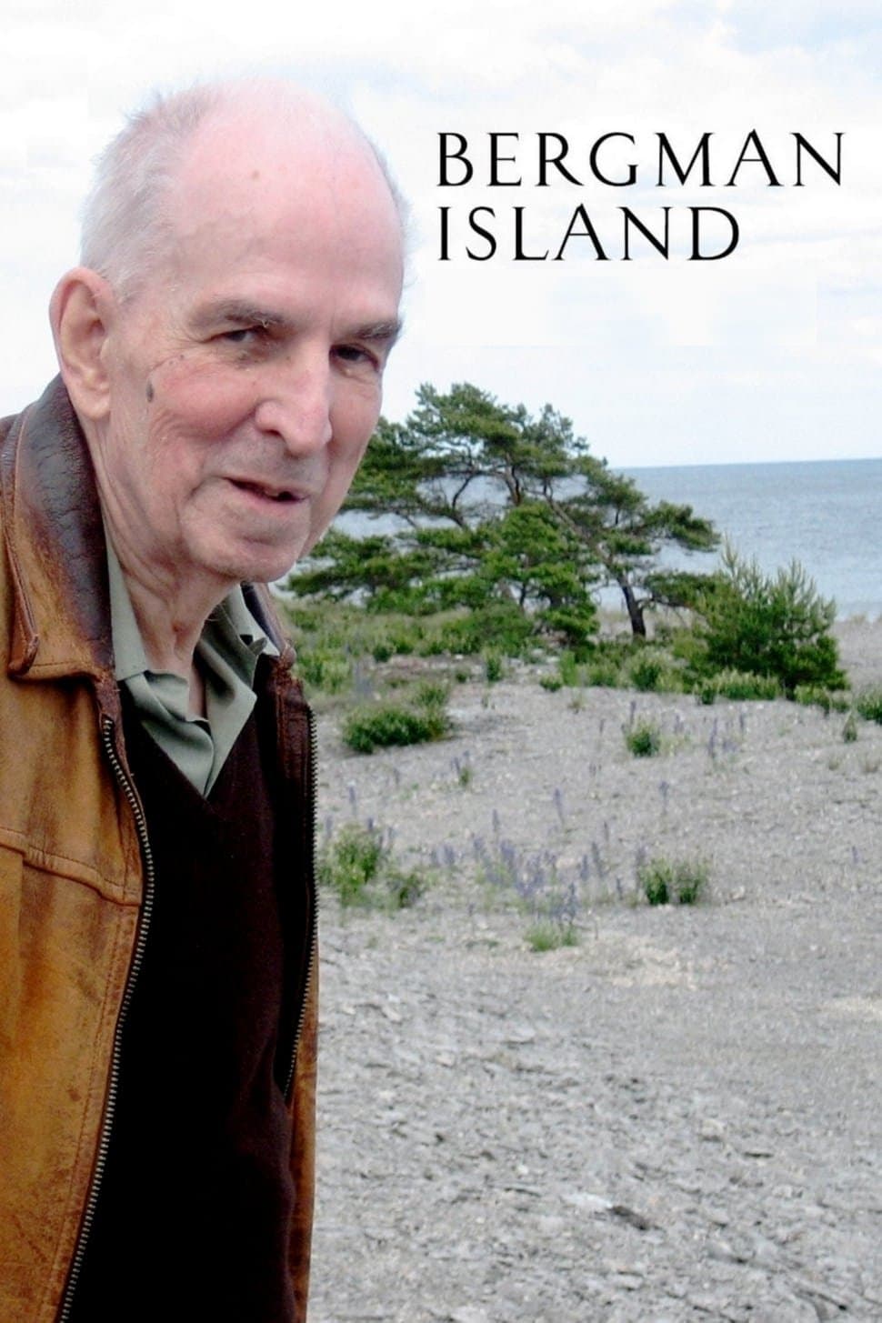 Poster Bergman Island