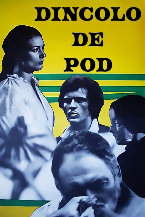 Poster Beyond the Bridge