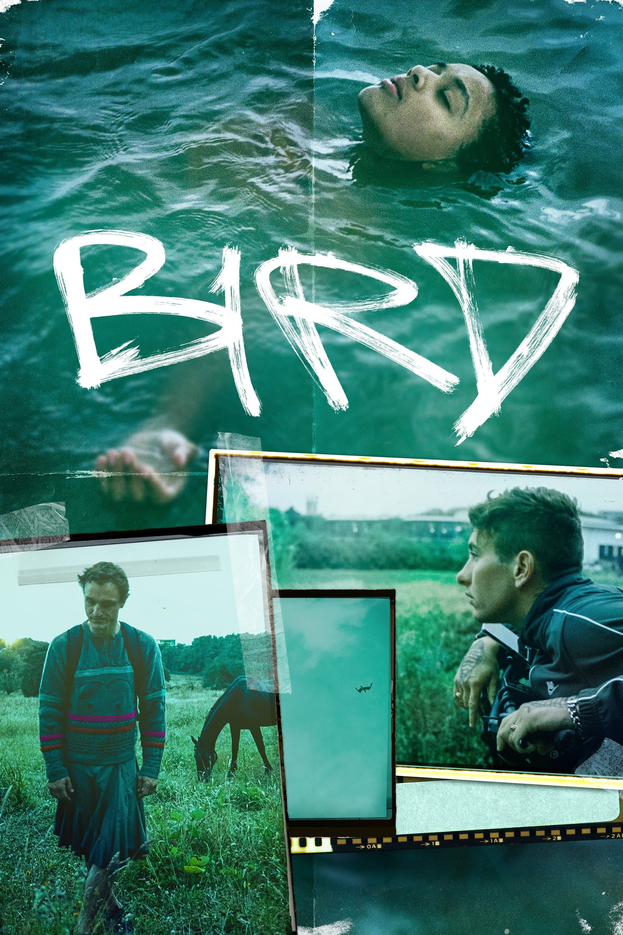 Poster Bird
