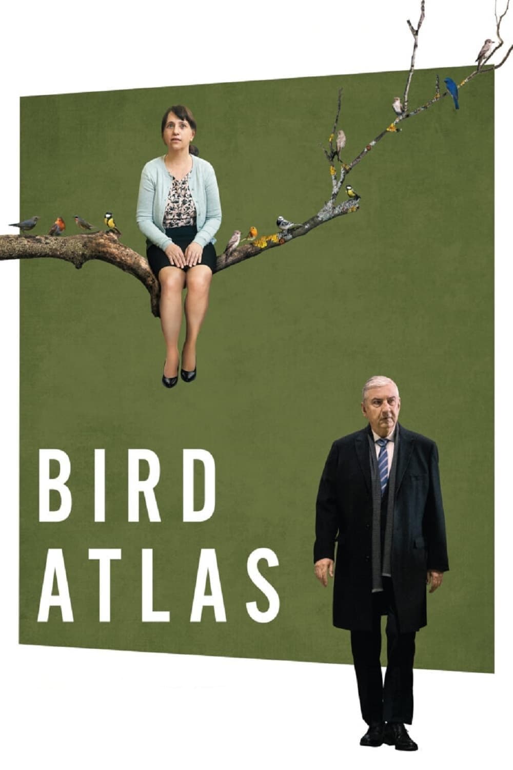 Poster Bird Atlas