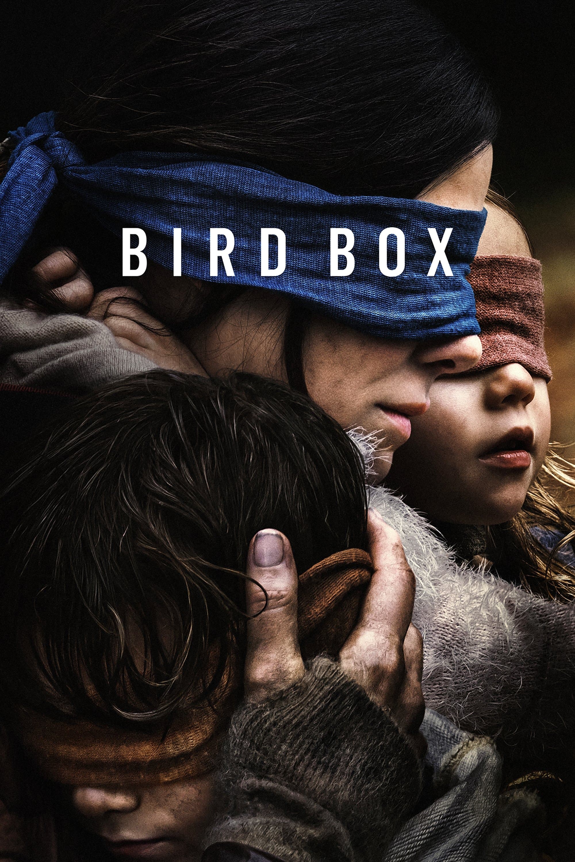Poster Bird Box