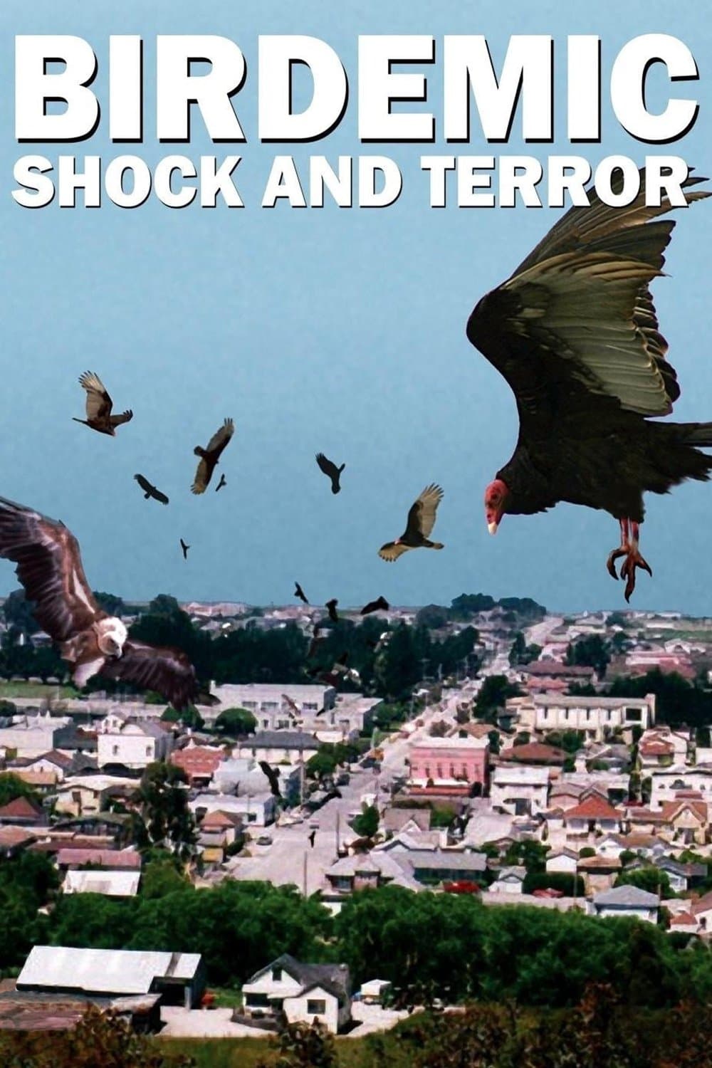 Poster Birdemic: Shock and Terror