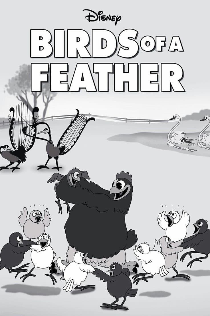 Poster Birds of a Feather