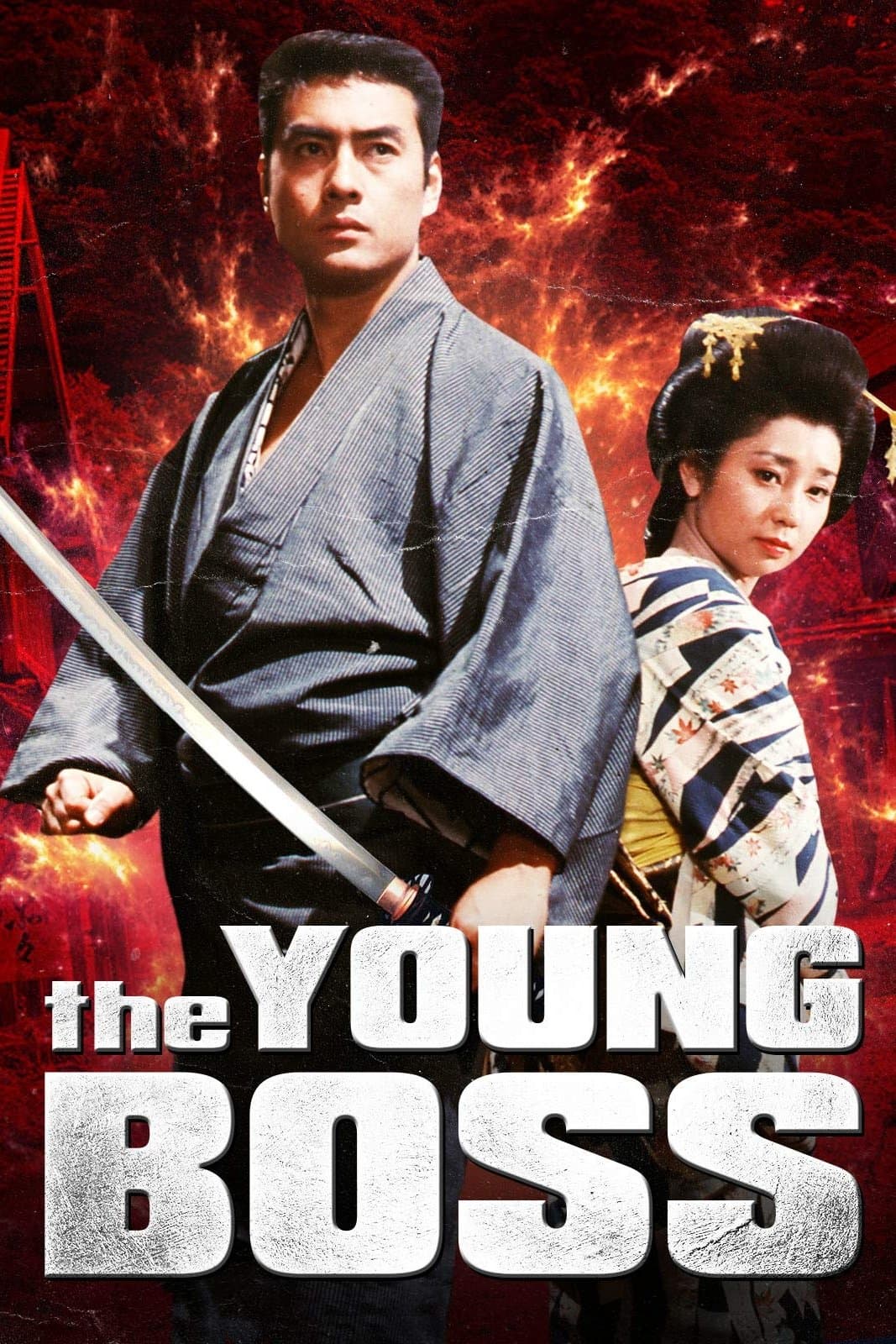Poster Birth of a Fighter