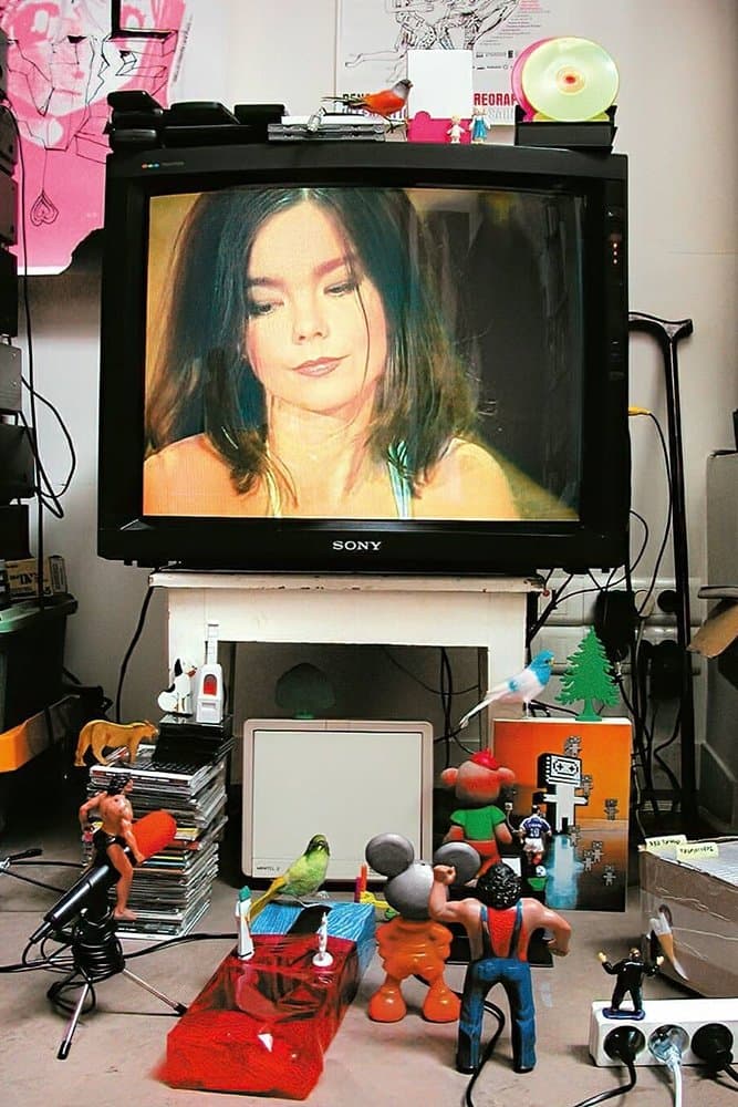 Poster Björk: MTV Unplugged 1994