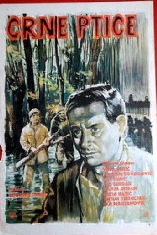 Poster Black Birds