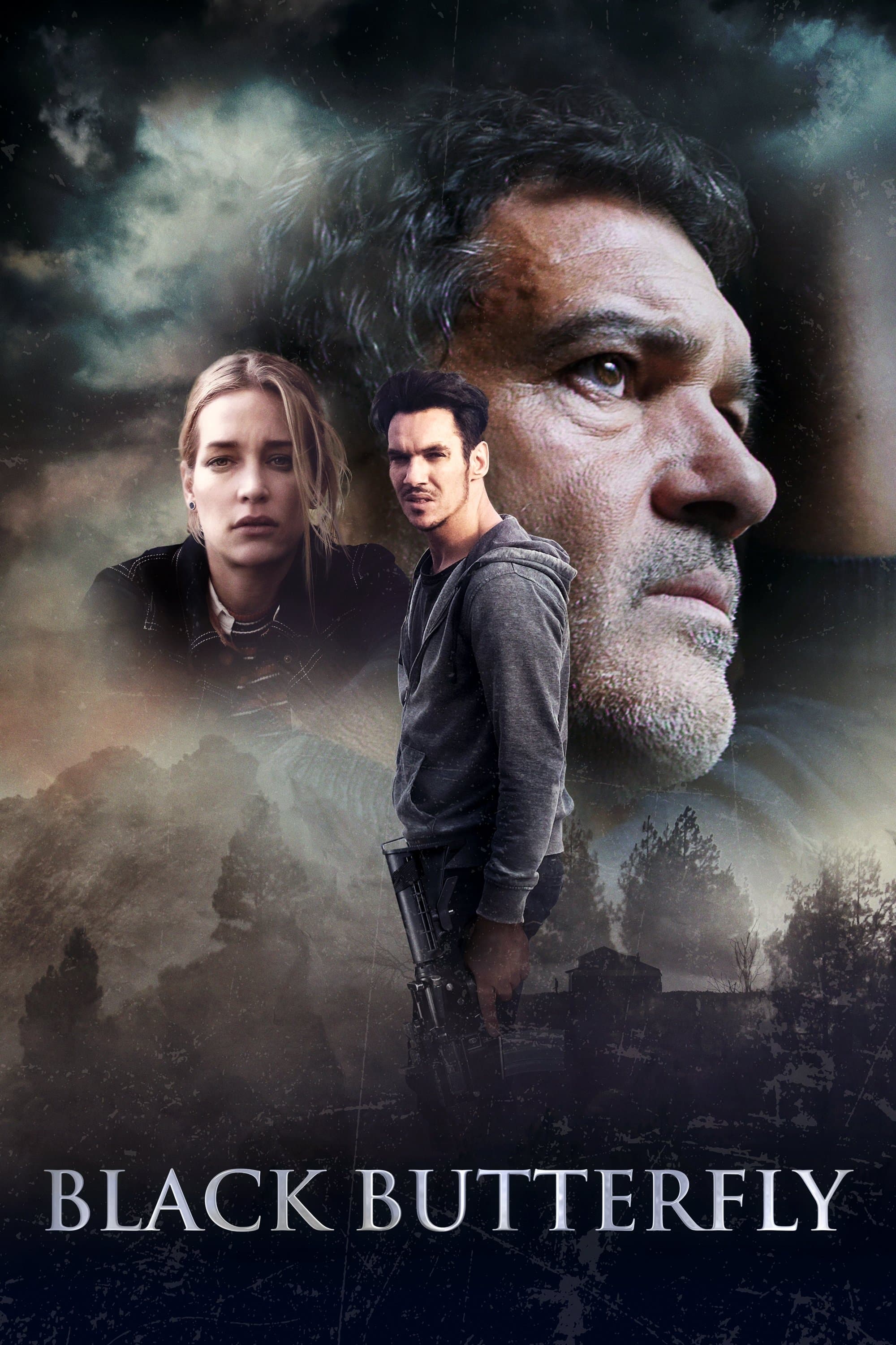 Poster Black Butterfly
