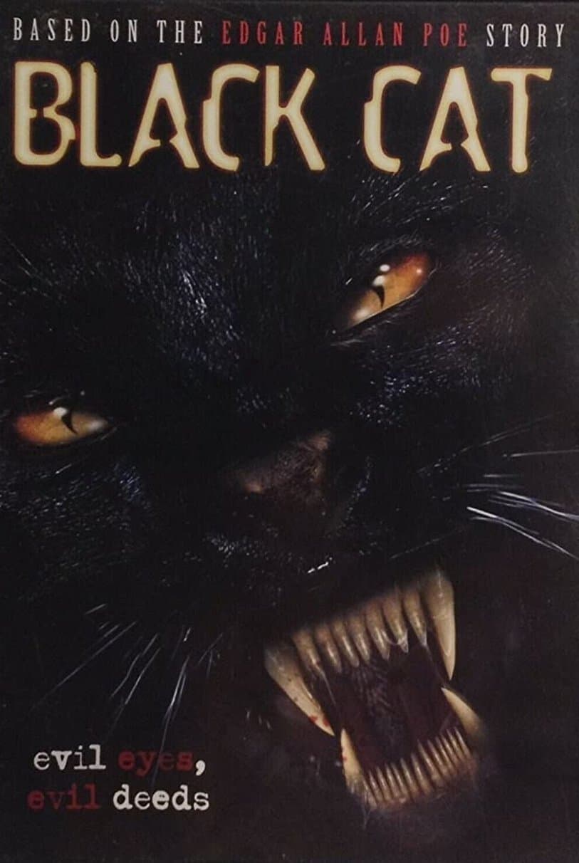 Poster Black Cat