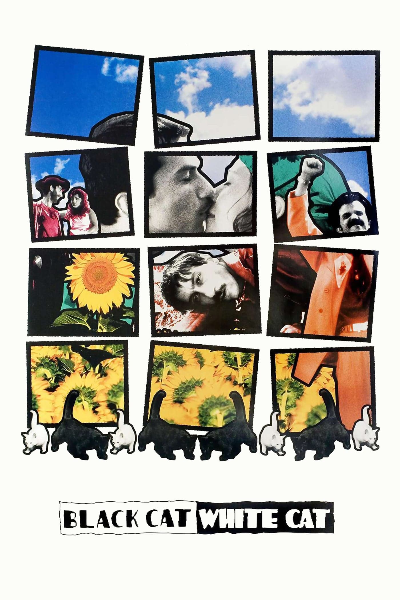 Poster Black Cat, White Cat