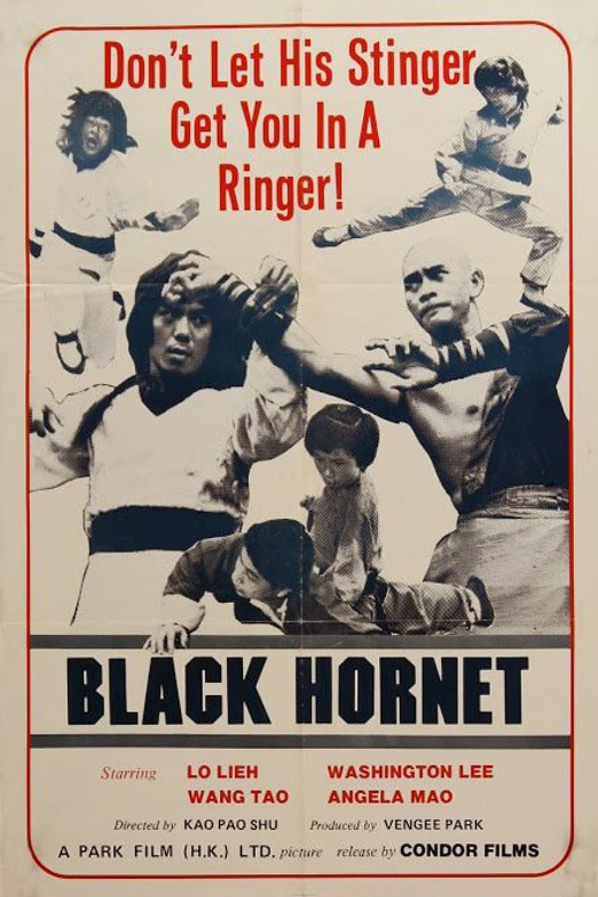 Poster Black Hornet