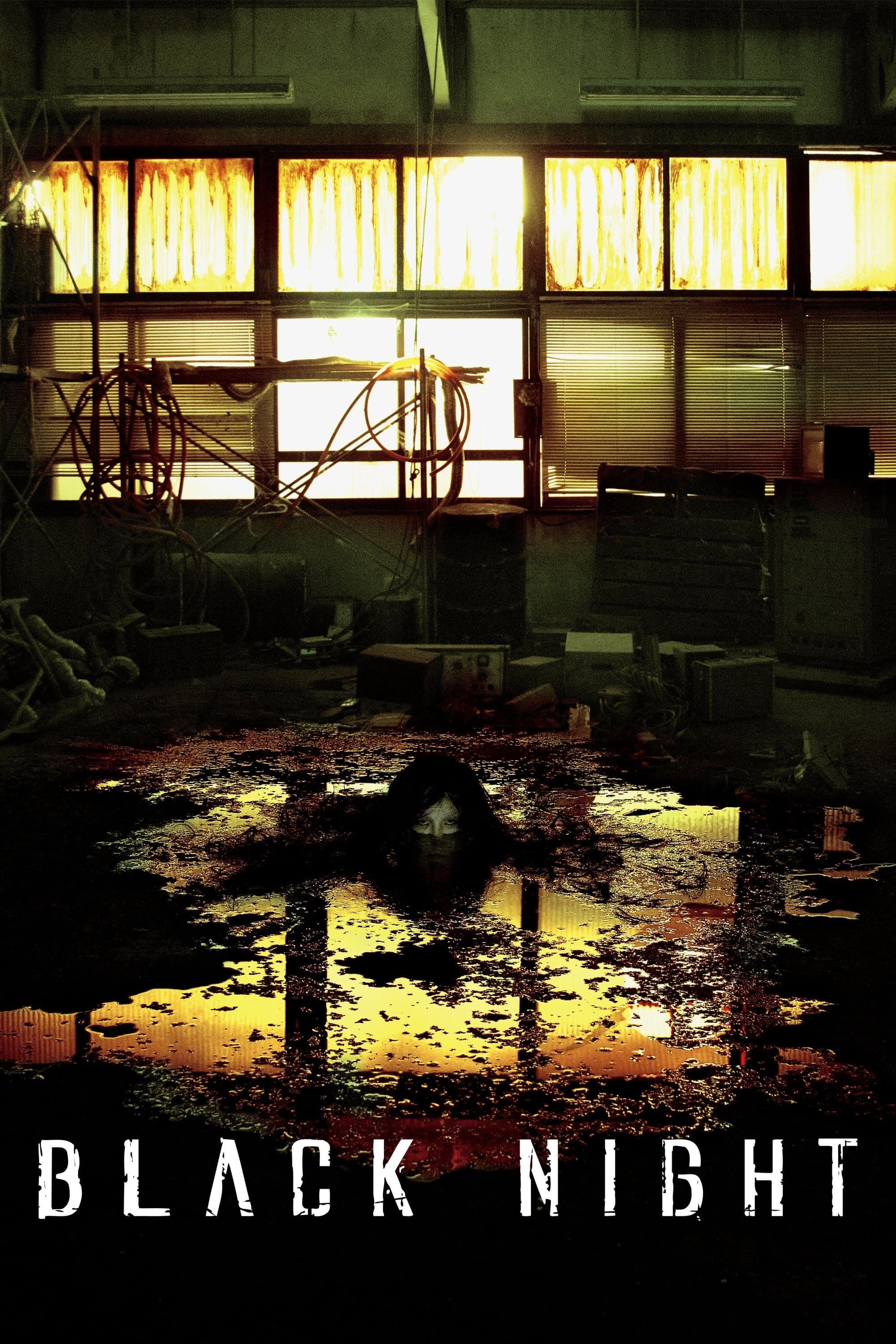 Poster Black Night