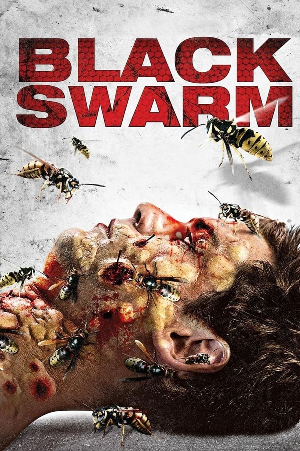 Poster Black Swarm