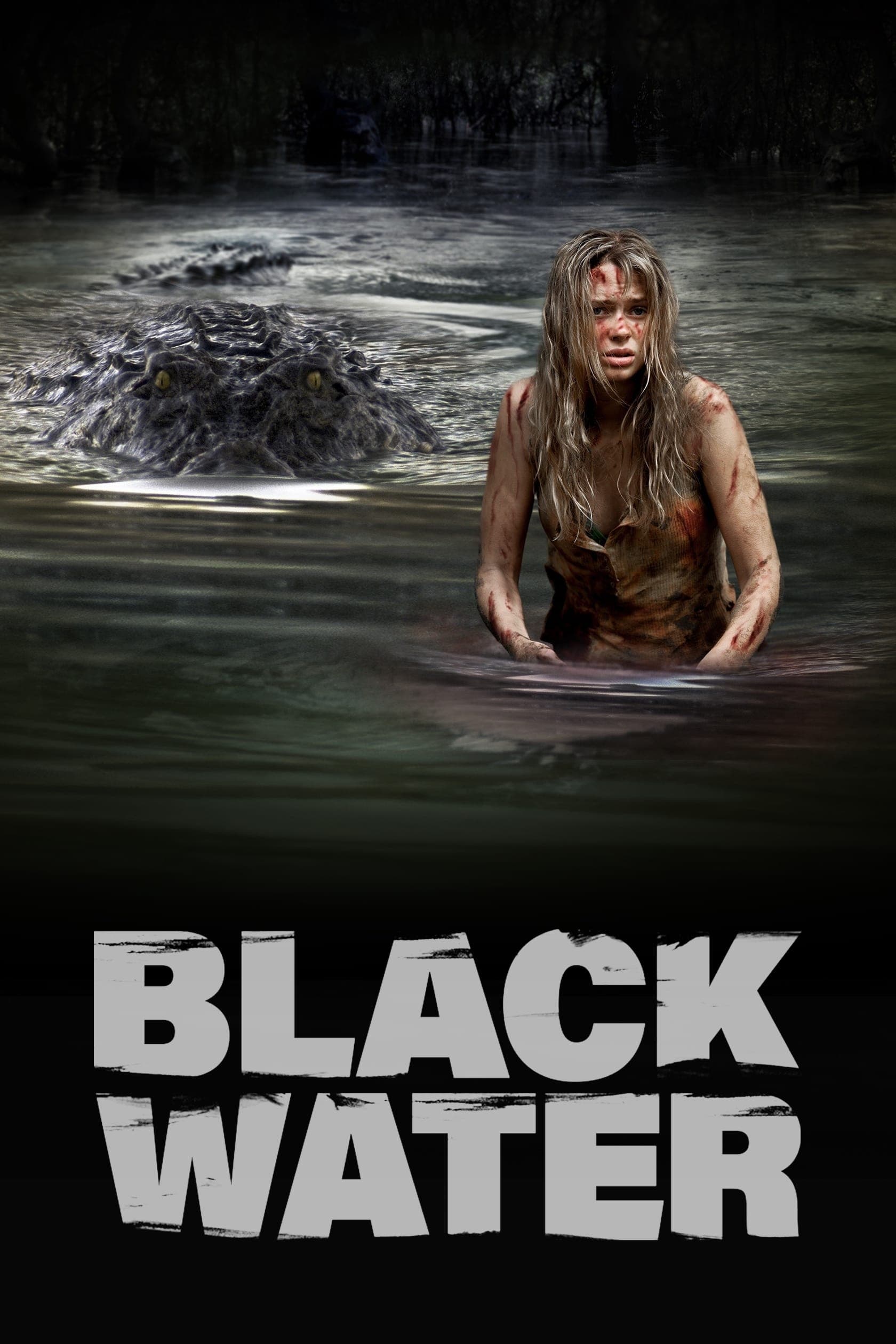 Poster Black Water