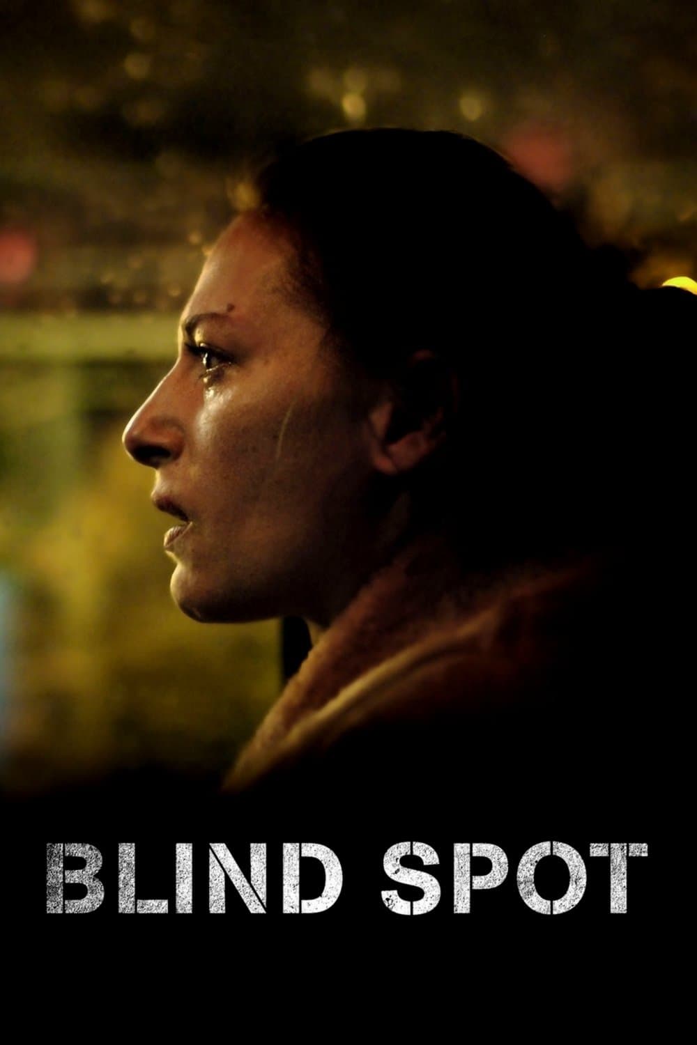 Poster Blind Spot
