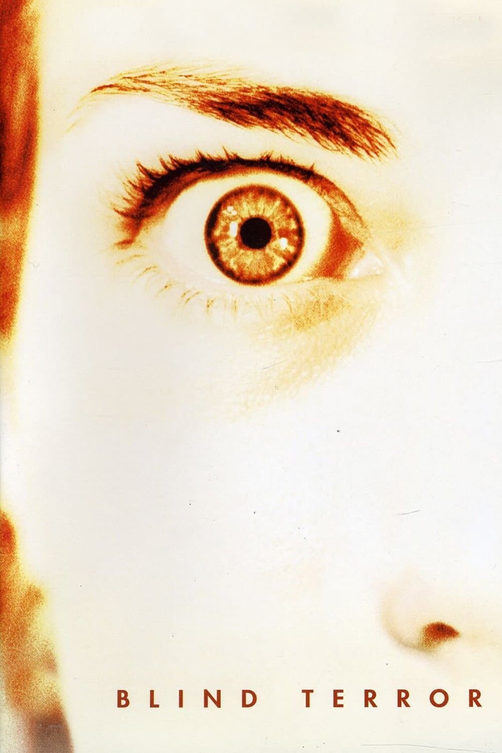 Poster Blind Terror