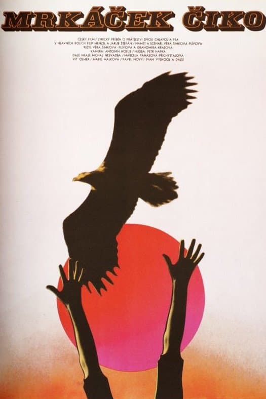 Poster Blinker-Ciko