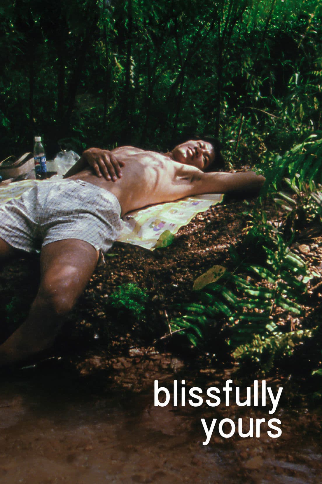 Poster Blissfully Yours