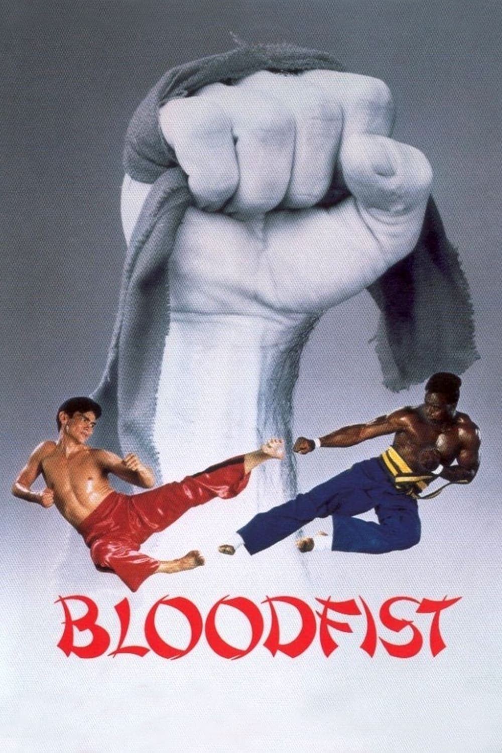 Poster Bloodfist