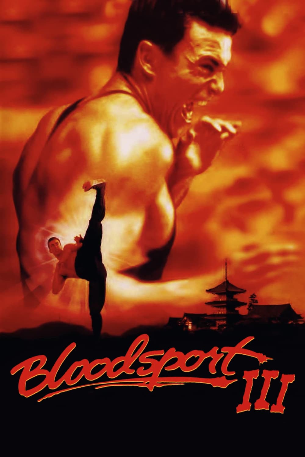 Poster Bloodsport III