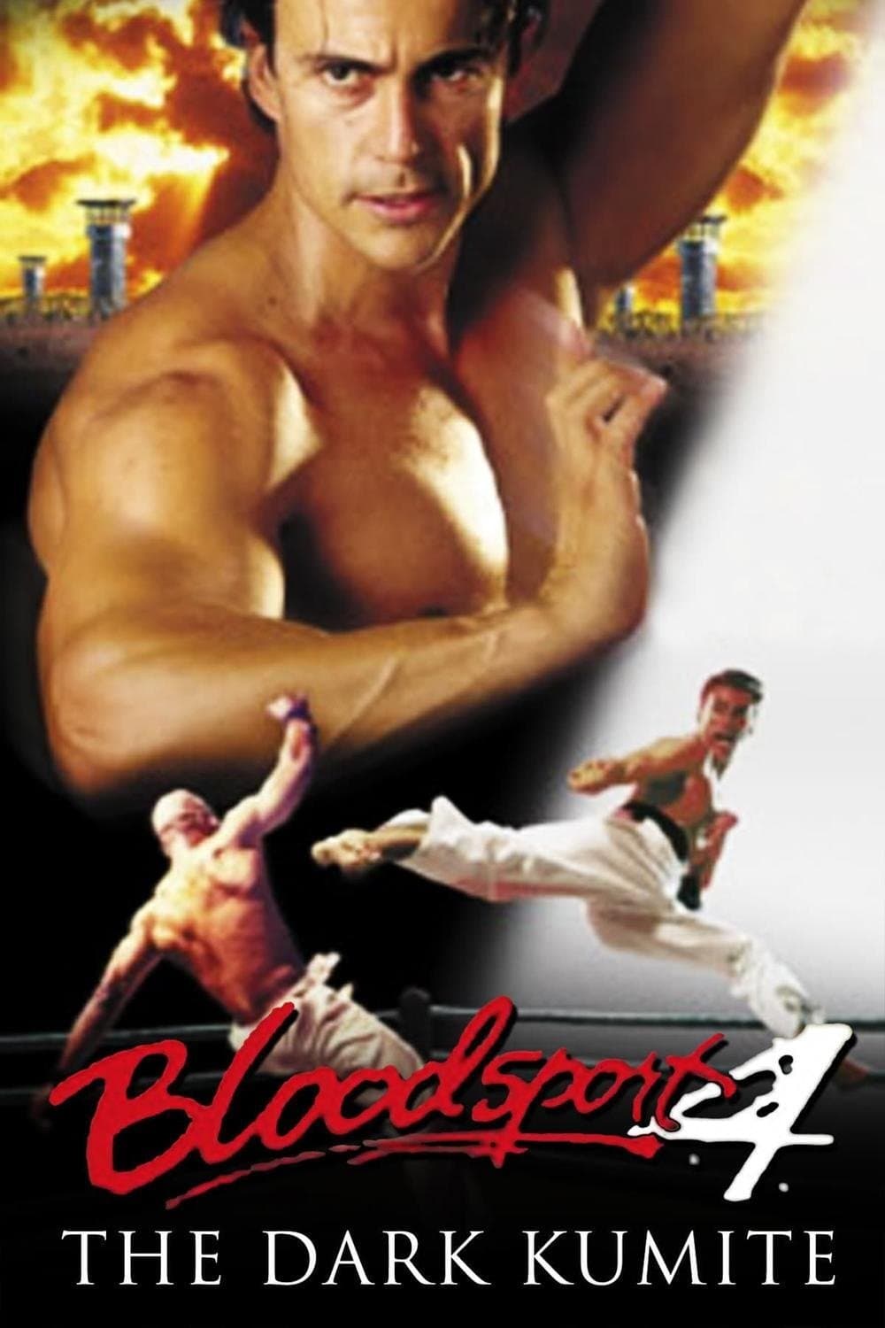 Poster Bloodsport: The Dark Kumite