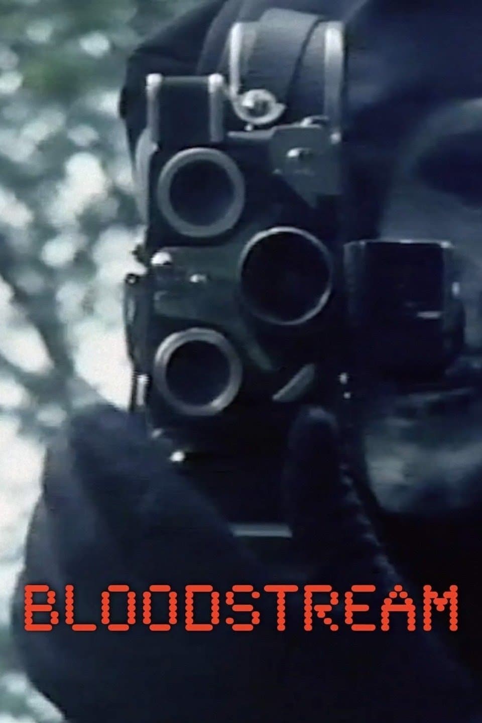 Poster Bloodstream