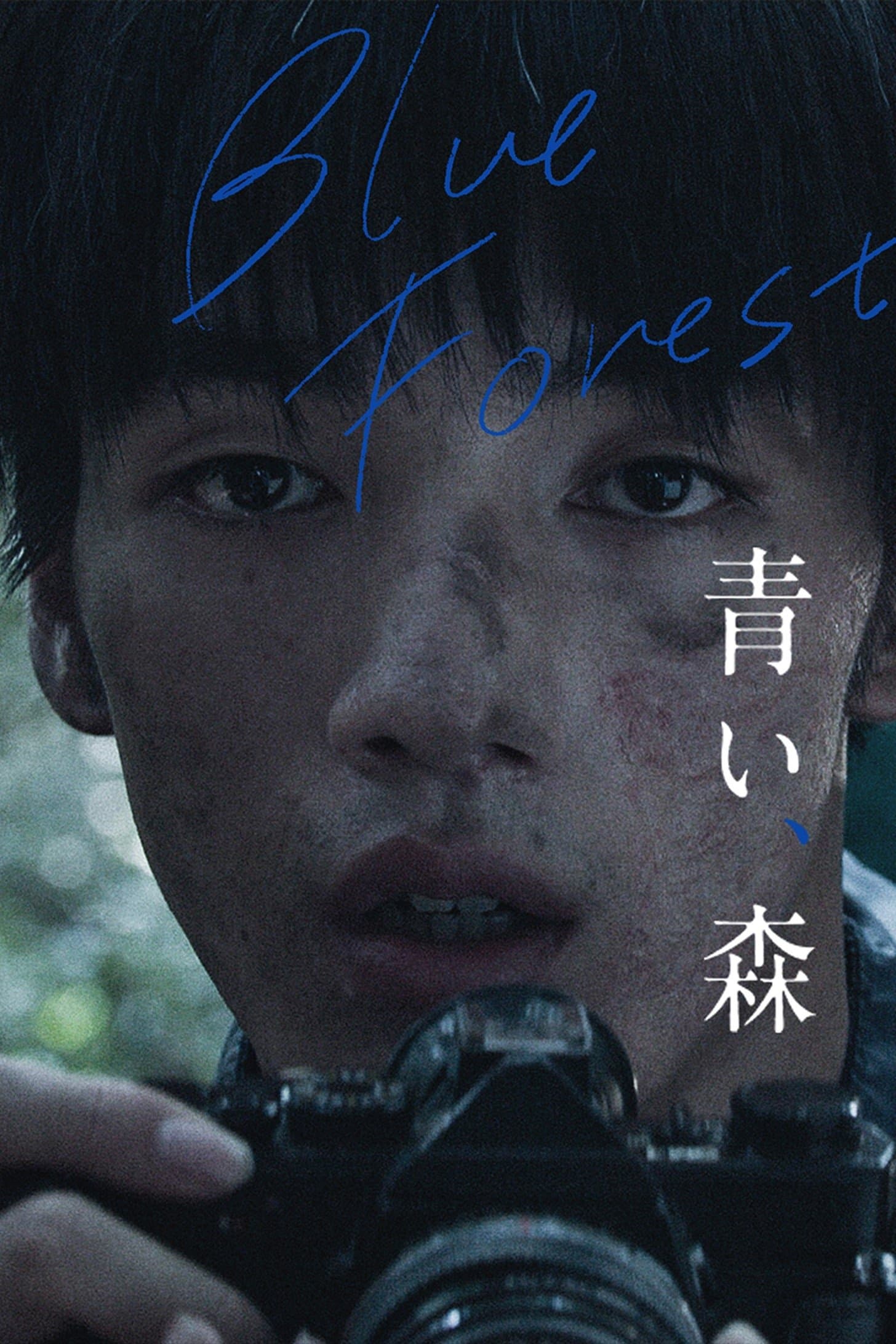 Poster Blue, Forest