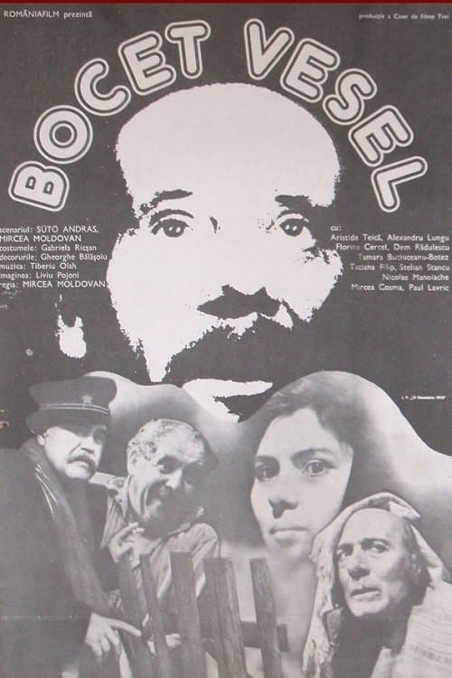 Poster Bocet vesel