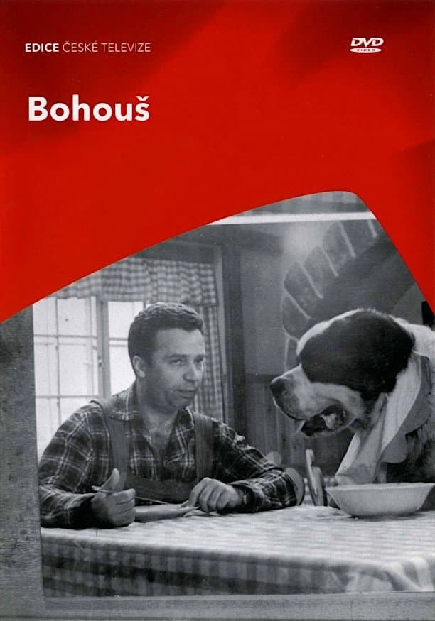 Poster Bohous