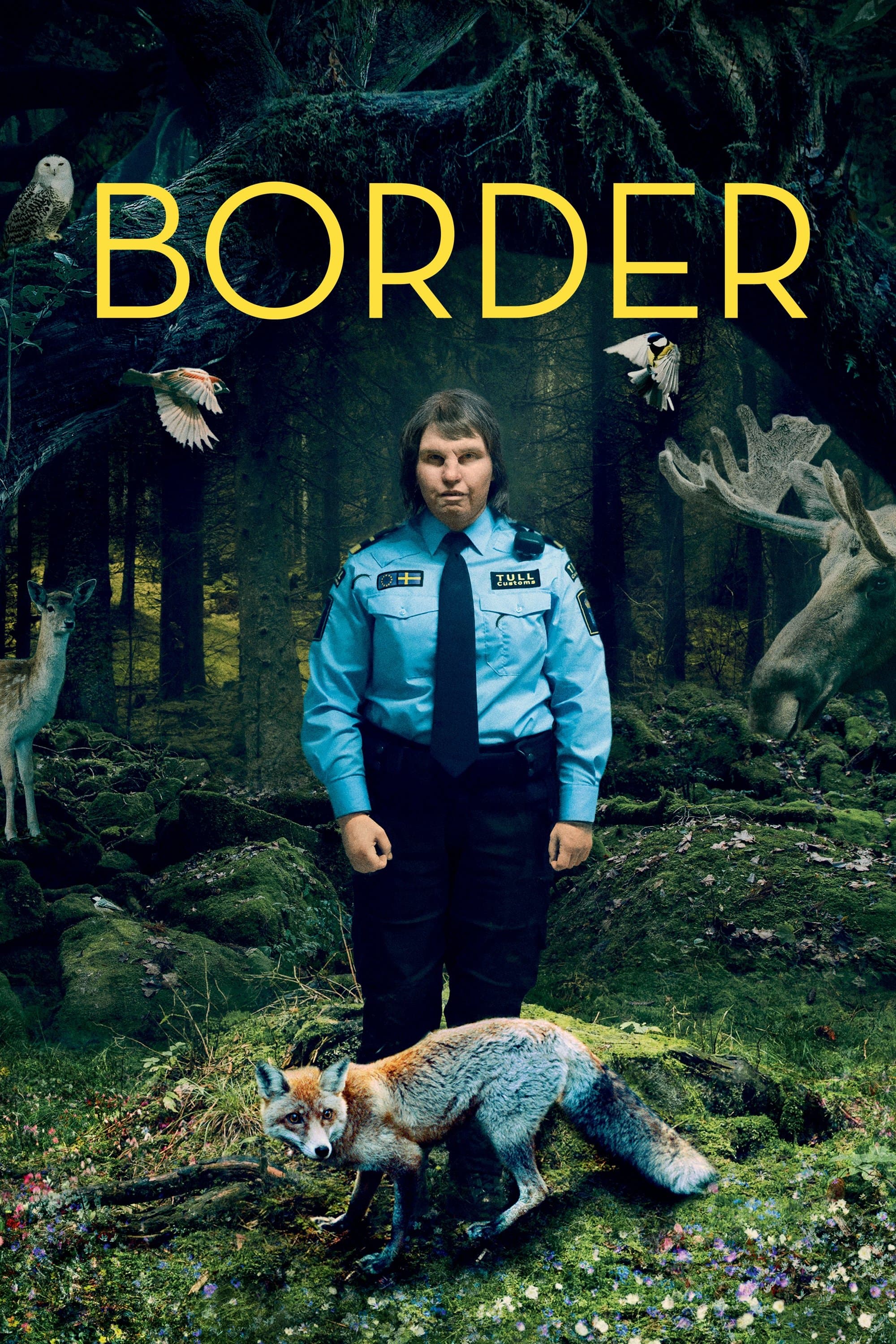 Poster Border