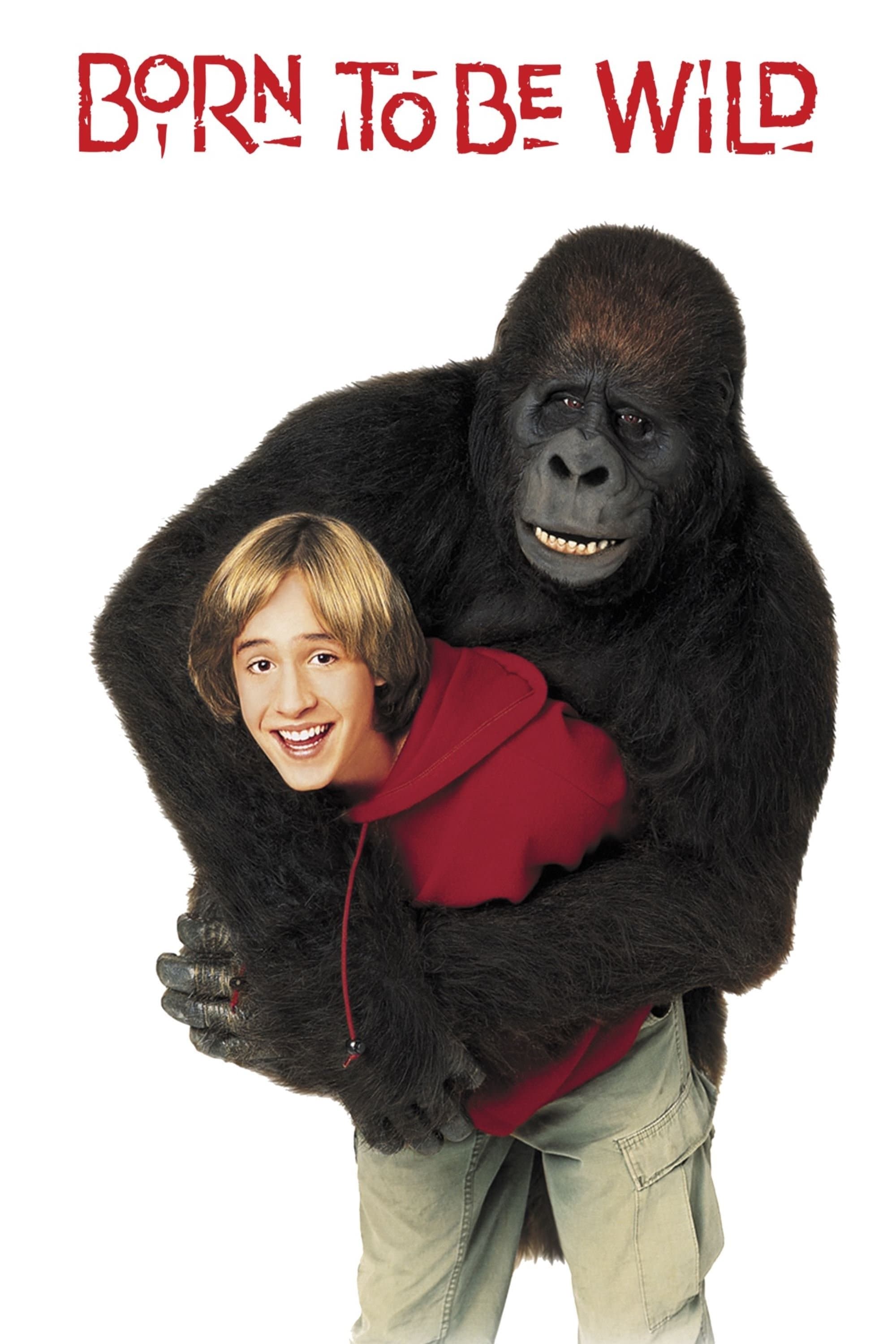 Poster Born To Be Wild