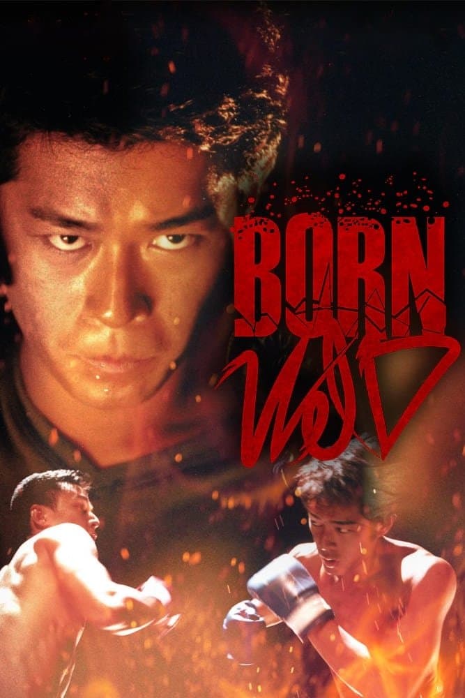Poster Born Wild