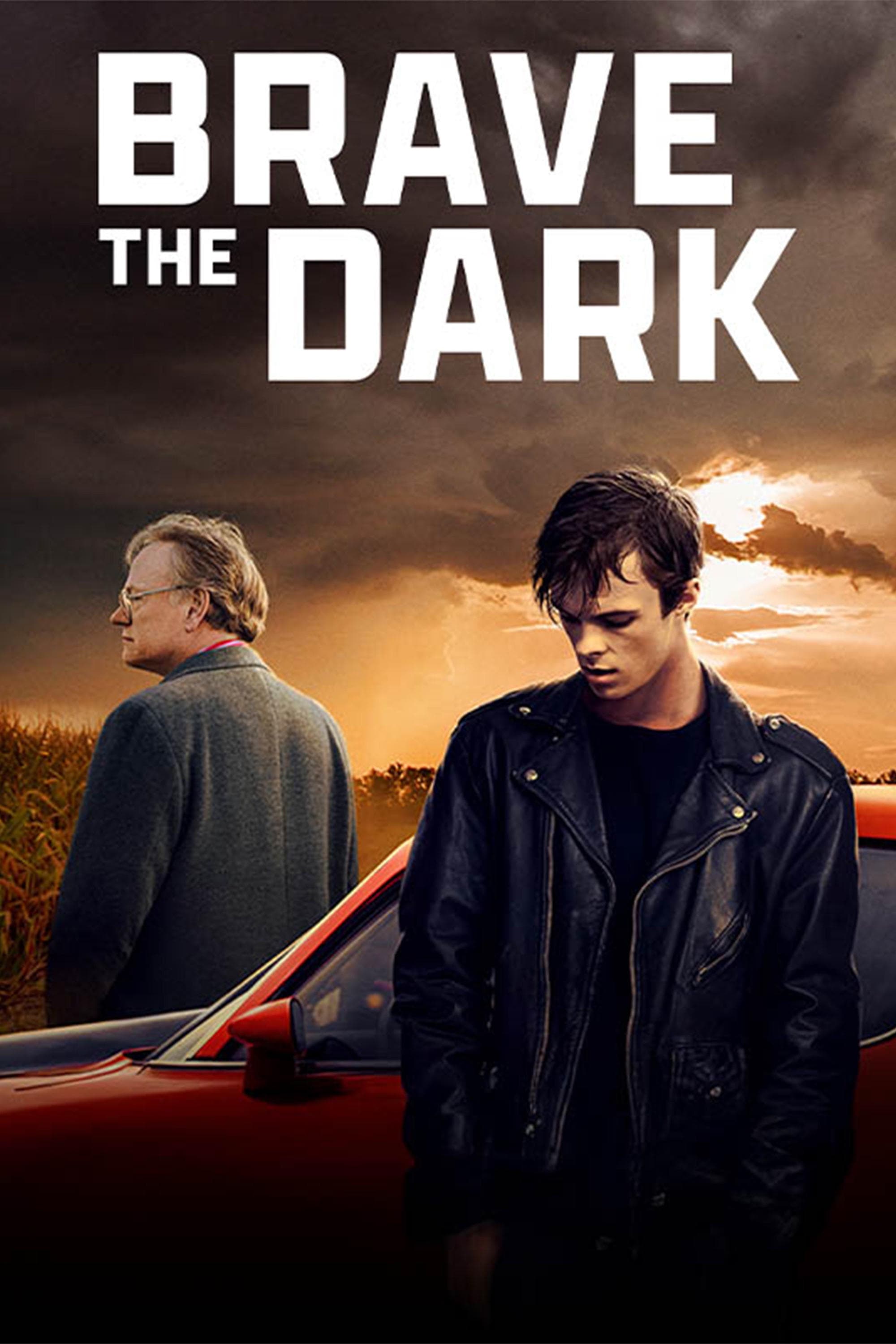 Poster Brave the Dark